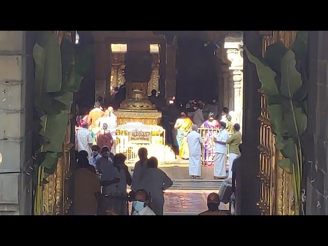 Tirumala Tirupati Balaji Temple Inside Visuals 12 March 2022