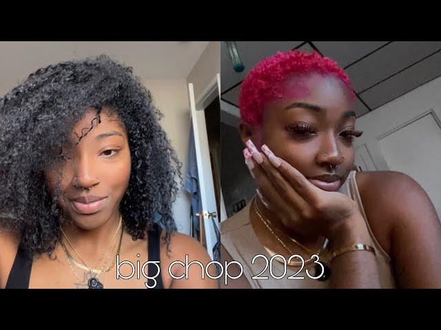 big chop 2023 | new year, new me :)