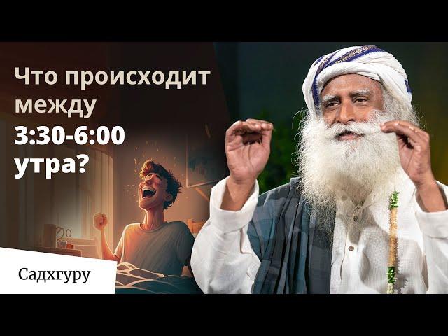 Что произойдет, если ты начнешь вставать рано?