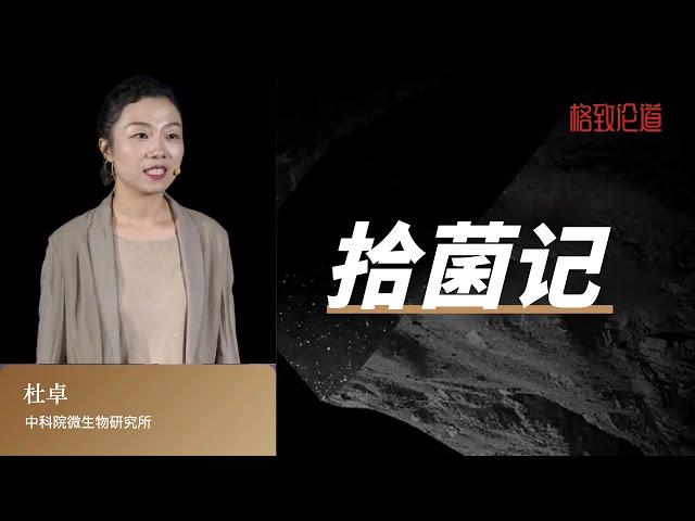 939｜杜卓：拾菌记｜中科院微生物研究所