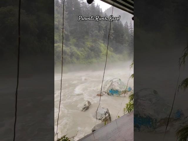Happy Monsoon | #shorts #youtubeshorts #rain