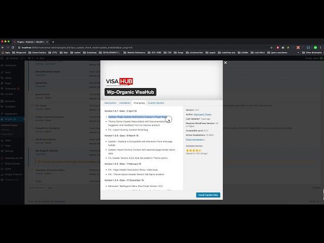 VisaHub Immigration Consulting WordPress Theme Plugin Update Process