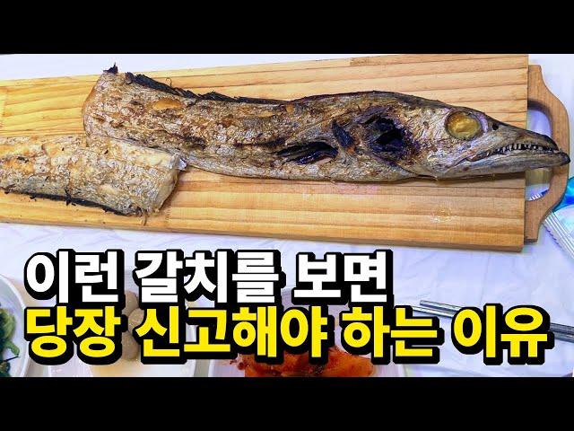 The most popular 'Cutlassfish' in South Korea, facts you must know before eating it.