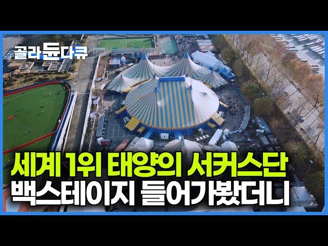 한국 공연이 가장 즐겁다는 세계 1위 서커스단. 무대 뒤가 궁금해서 찾아가봤더니｜극한직업｜#골라듄다큐