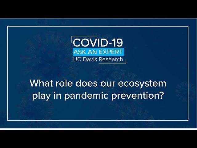 What role does our ecosystem play in pandemic prevention?