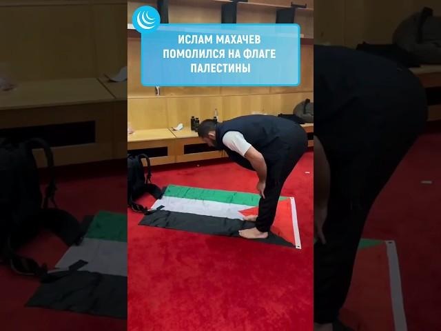 ИСЛАМ МАХАЧЕВ И СМЕКАЛКА #мирадио #новости #palestine #палестина #исламмахачев #ислам #islam #ufc