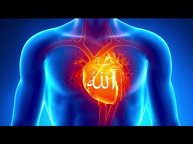 The Power of Allah Zikr