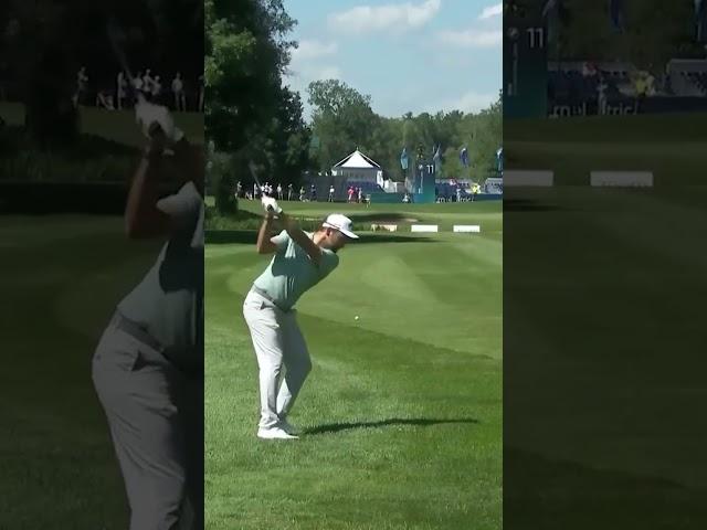 1 in 1 MILLION golf shot! 