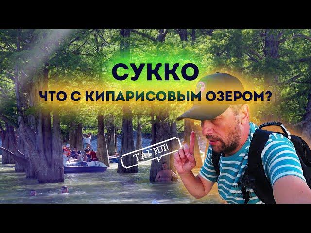 Влог #114: Во что превратили кипарисовое озеро в СУККО | АНАПА