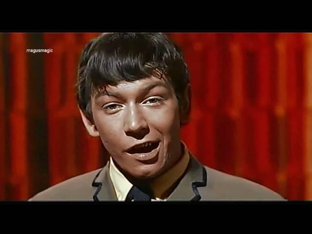 The Animals - Around & Around (1964) HD/widescreen 