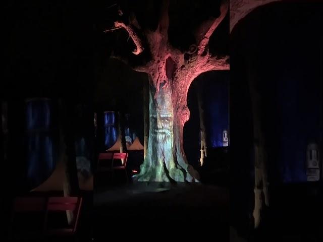 Funny speaking tree at nightlight