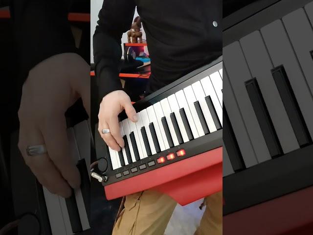 Take on Me - Aha / Keytar korg Rk 100S2 (cover) Ronny Walker Music