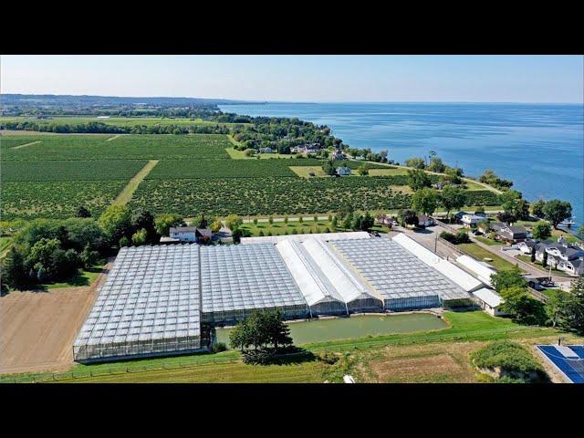 beautiful greenhouses