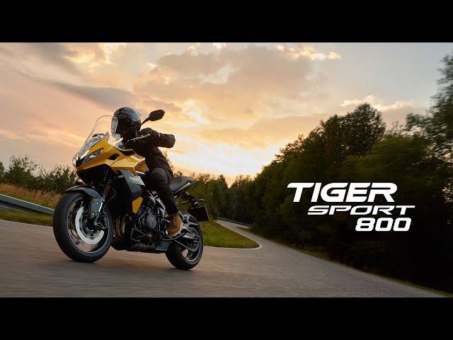 Introducing the ALL-NEW Triumph Tiger Sport 800 | Sport