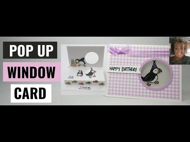 Amazing Puffins Pop  Up  Window  Card