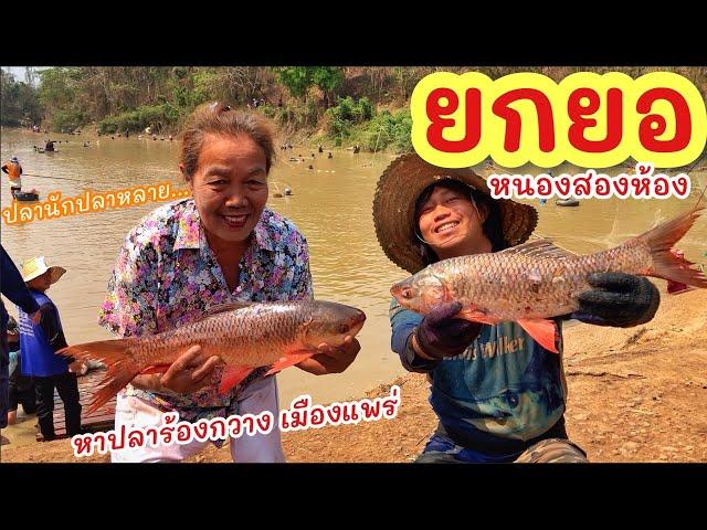 ยกยอ หนอง2ห้อง ►Fishing lifestyle Ep.729