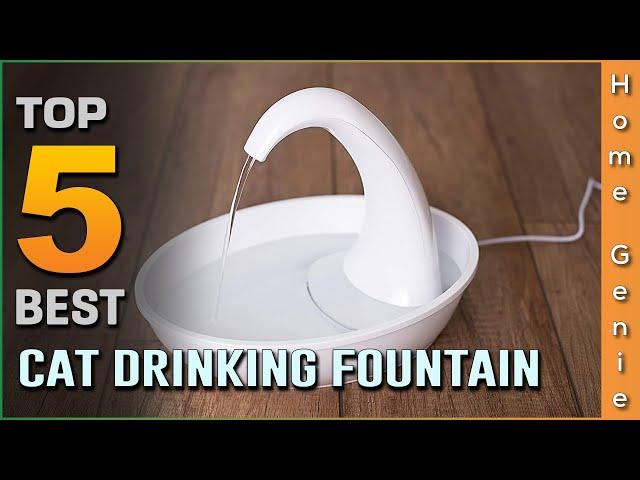 Top 5 Best Cat Drinking Fountains Review in 2023 - Suitable for Outdoor & Indoor Use