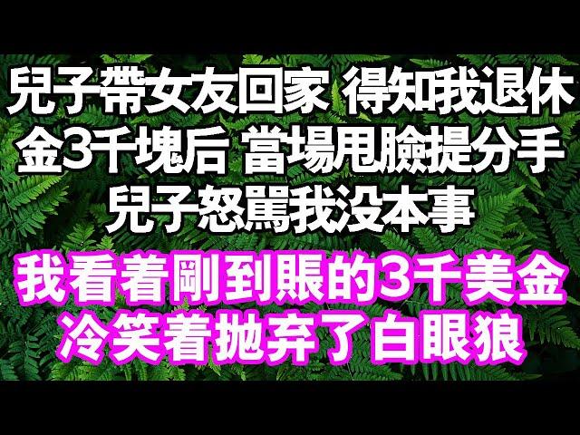 兒子帶女友回家，得知我退休金3000塊後，女友當場甩臉提分手。兒子怒罵我沒本事。但我看著剛到帳的21753元陷入沉思。一個月3000美金很少嗎？#中老年頻道 #故事 #家庭