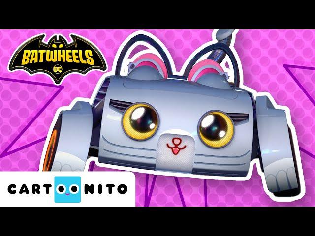 BATWHEELS | Kitty’nin En İyi Anları | Çocuklar İçin Çizgi Film | @CartoonitoTurkiye