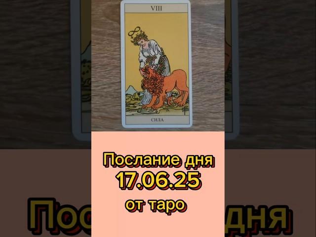 Подсказка от таро на 17.06.2025