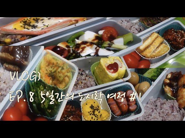 남편도시락 도시락 여정 #1 l 도시락브이로그 l