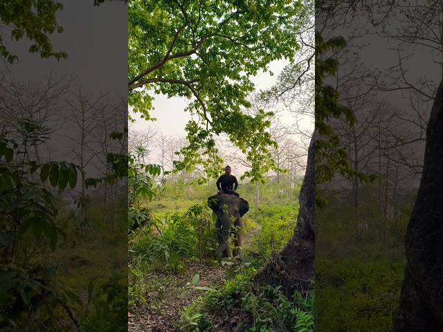 #Sauraha Chitwan