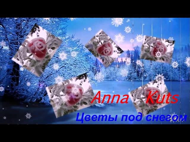 Anna Kuts  " Цветы под снегом"