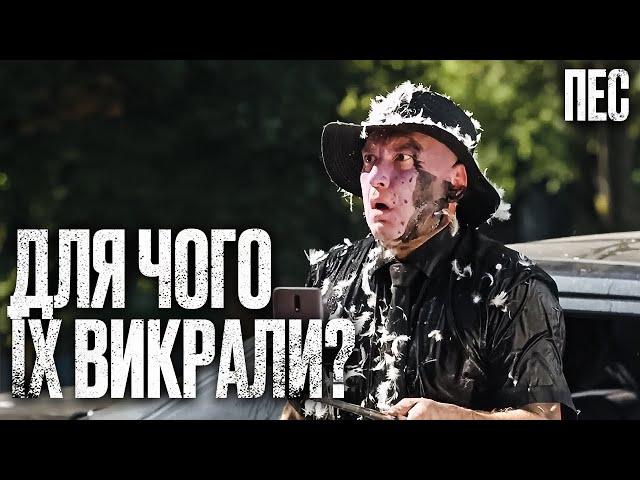 Викуп не допоможе їх врятувати – Серіал Пес 2025 | ДЕТЕКТИВ 2025 | НАЙКРАЩИЙ СЕРІАЛ ПРО ПСА