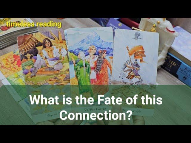 What is the Fate of this Connection? ️| Timeless Reading 