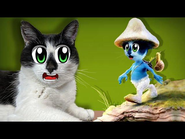 СМЕШНЫЕ МЕМЫ от ПОДПИСЧИКОВ! МАЛЫШ ШАЙЛУШАЙ и МУРКА КОТ БАНАН! РЕАКЦИЯ АНУКА ДАВАЙКА на ПРИКОЛЫ