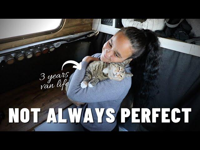 3 years of van life with my cat / How train your cat to love van life  / Van life