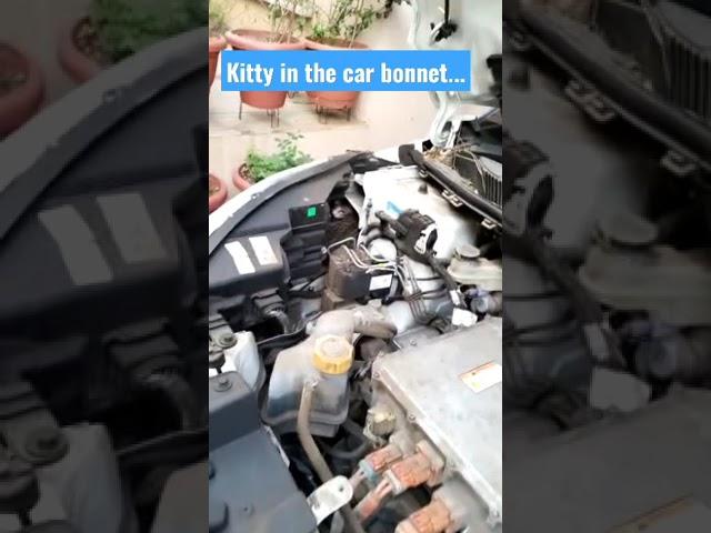 Look what's there under the bonnet of EV  #evhacks #evsurprise #joel #evcar #nexonev #viral #shorts