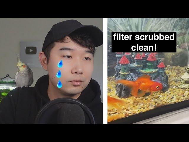 5/5 FISH TANK MAKEOVER | Fish Tank Review 189