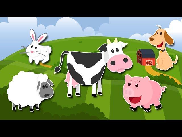 Desene Animate Educative - La Ferma - ANIMALELE DOMESTICE - Animatii TV