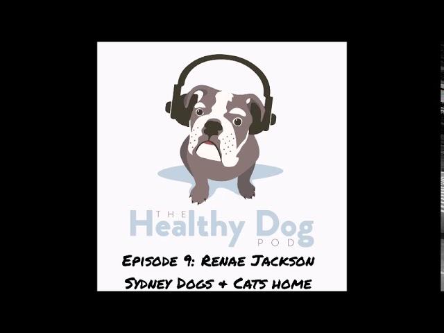 Episode 9: Renae Jackson of Sydney Dogs & Cats Home