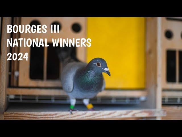 39,695 pigeons Competing for the National Race Bourges III 2024 Podium