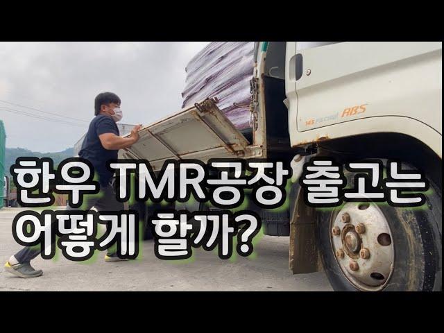 (웅부장) 한우 공장TMR 출고해서 급여하기 ep.4