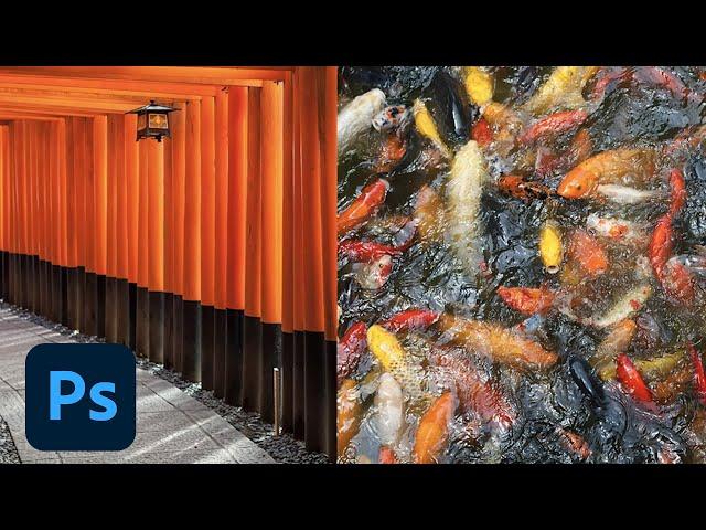 6 Easy Ways to Select Colors in Photoshop | Adobe Photoshop