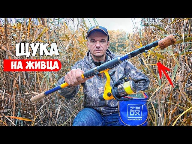 РЫБАЛКА на ЖИВЦА 100% СНАСТЬ на ЩУКУ. ГДЕ ИСКАТЬ и КАК ЛОВИТЬ ЩУКА на ЖИВЦА