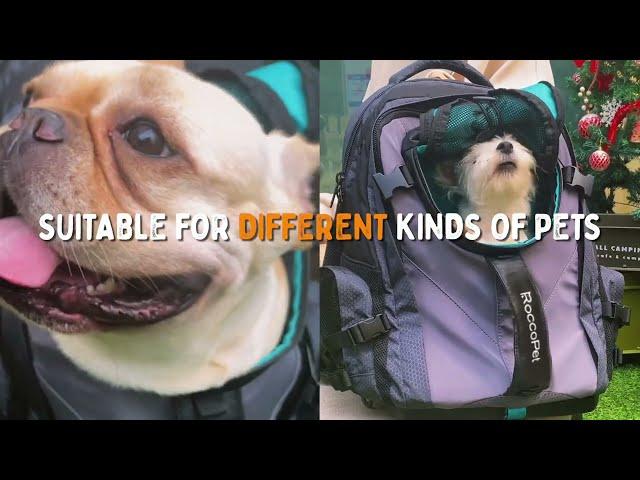 Dog Carrier Backpack | Outdoor Master