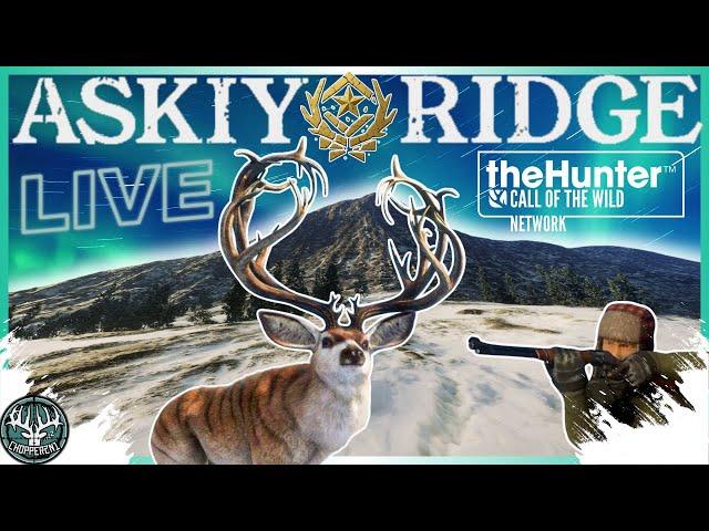 Let's HUNT!!! Early Access Askiy Ridge!!! The Hunter: Call of the Wild