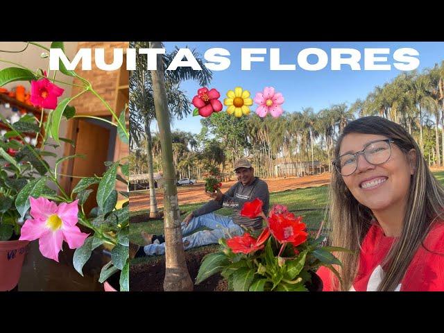 CONCLUÍDA MAIS UMA ETAPA DO JARDIM COM MUITAS FLORES  / VLOG DO NOSSO DIA AQUI NO SÍTIO 