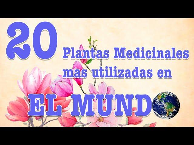 20 plantas medicinales mas utilizadas en el mundo