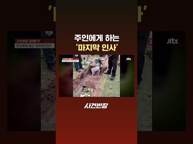 주인에게 하는 '마지막 인사' #JTBC #Shorts