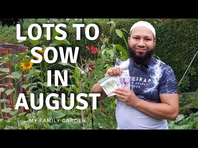 What Can I Grow In August  - What To Plant In August - Late Summer Sowing Guide