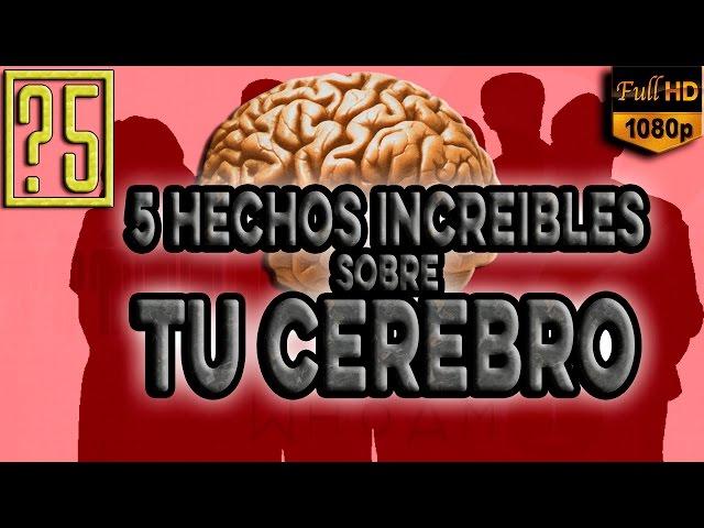 ¿Crees que te conoces? 5 Hechos Increíbles acerca de tu Cerebro que te dejarán con la boca abierta