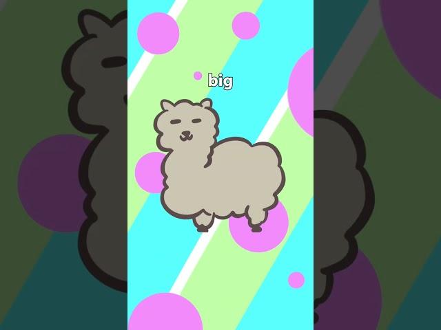  Happy llama sad llama #art #procreate #animation #reel #tiktok #llama