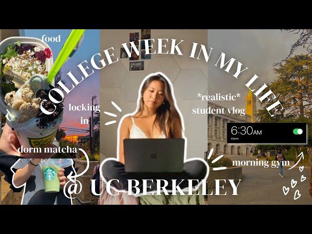 week in the life | freshman @ uc berkeley