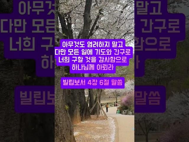 빌립보서 4장6절 말씀 #귀한말씀 #성경구절 #좋은글 #성경말씀 #지혜 #진리의말씀