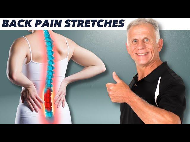 Absolute Best 10 Stretches For Back Pain & Perfect Posture!